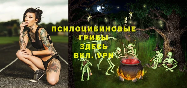 ешки Кукмор
