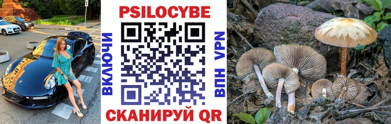 Галлюциногенные грибы Cubensis  Кологрив 